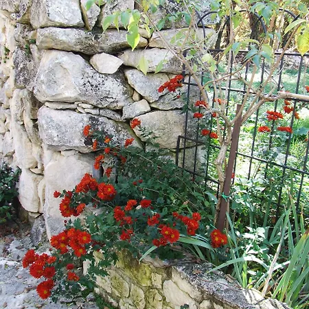 Catalano *