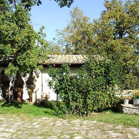 Catalano