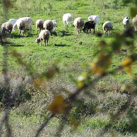 Séjour à la campagne Catalano