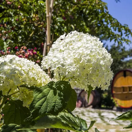 Casa de Campo Catalano Abbateggio