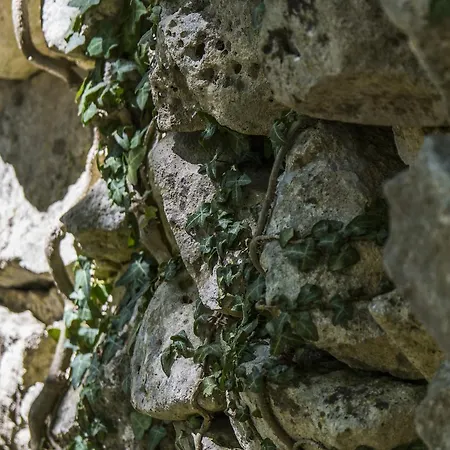 Catalano Séjour à la campagne *