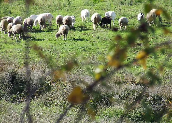 Country house Catalano