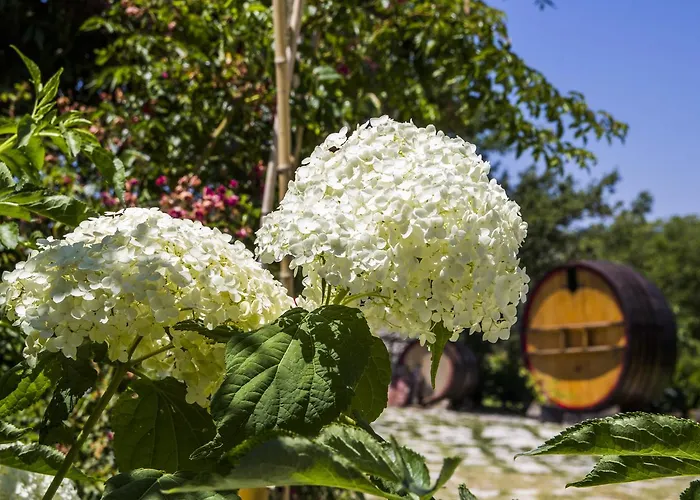 Country house Catalano Abbateggio