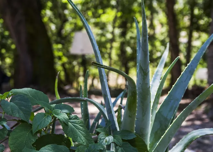 Catalano Country house