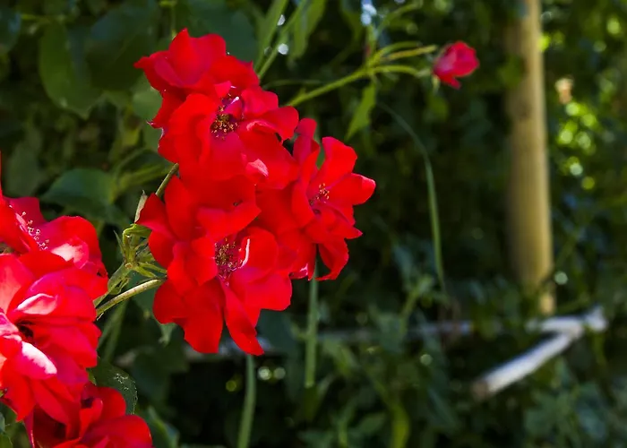 Country house Catalano Abbateggio